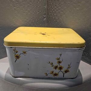 Vintage 1950s Rustic Painted Vinted Floral Metal Bread Box Minor Dent and Rust